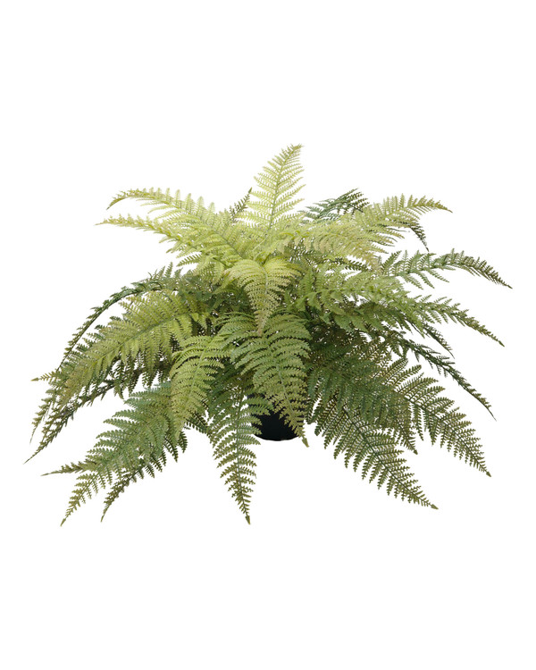 Taidekasvi saniainen 45 cm