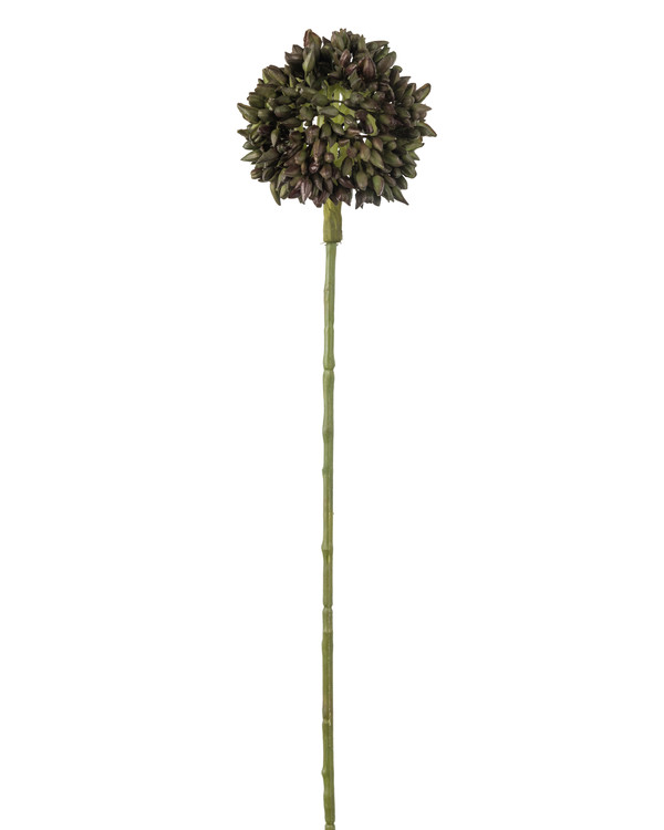 Konstväxt Alliumkvist 45 cm