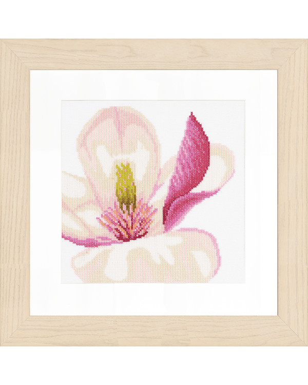 Magnolia flower aida