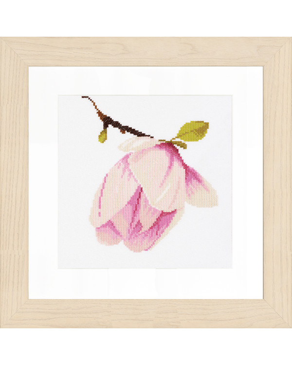 Magnolia bud