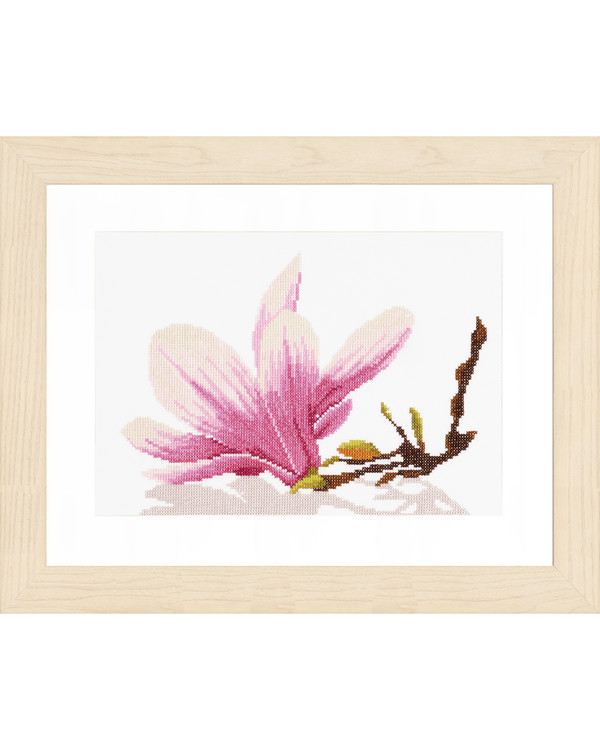 Magnolia twig with flower
