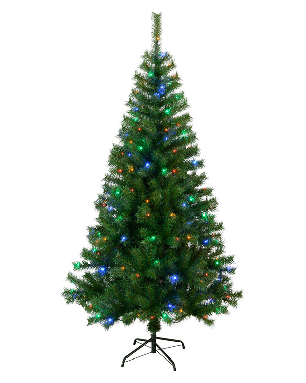 Star Trading Julgran Kalix LED 195 cm