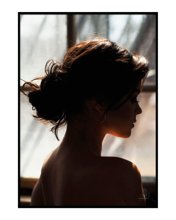 Silhouette Poster