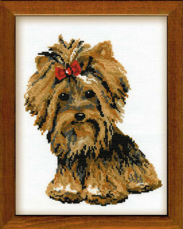 Taulu Yorkshire Terrier